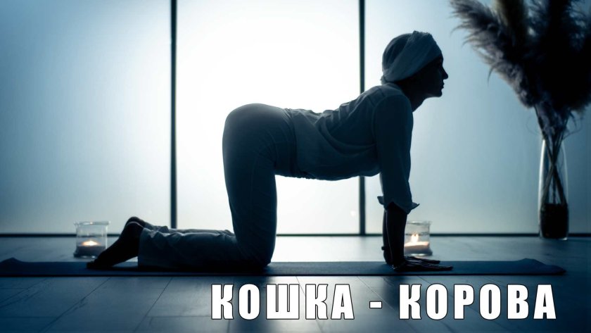 Упражнение кошка корова
