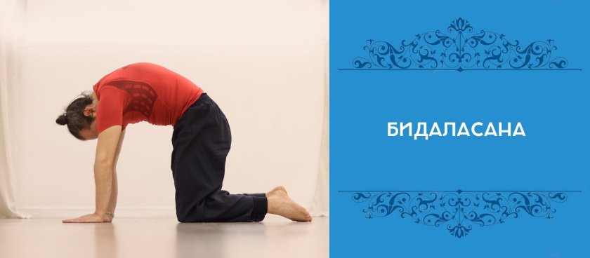 Бидаласана противопоказания