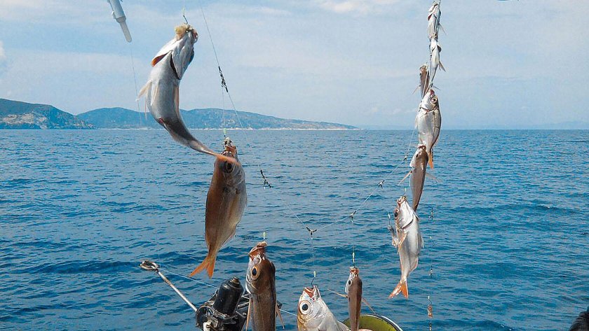 Морская рыбалка в Крыму